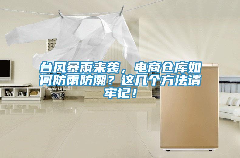 臺(tái)風(fēng)暴雨來襲，電商倉庫如何防雨防潮？這幾個(gè)方法請牢記！