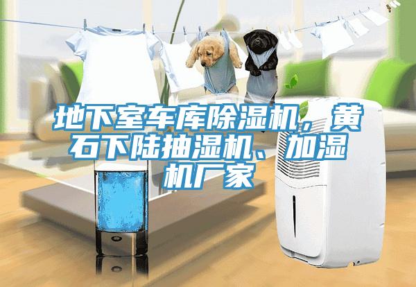 地下室車庫除濕機，黃石下陸抽濕機、加濕機廠家