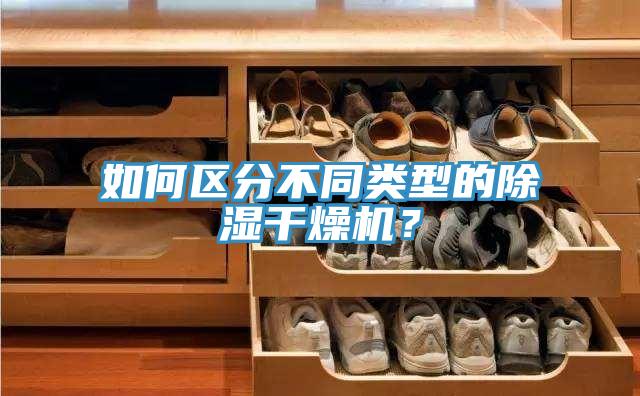 如何區(qū)分不同類型的除濕干燥機？