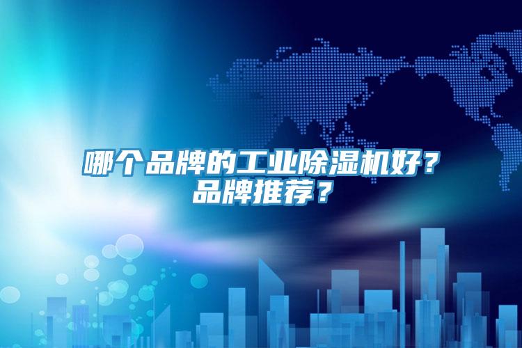 哪個品牌的工業(yè)除濕機好？品牌推薦？