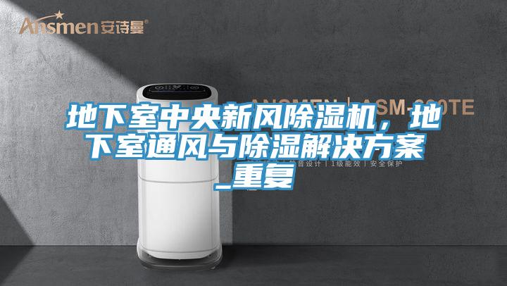 地下室中央新風(fēng)除濕機(jī)，地下室通風(fēng)與除濕解決方案_重復(fù)