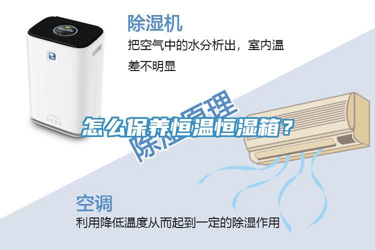 怎么保養(yǎng)恒溫恒濕箱？