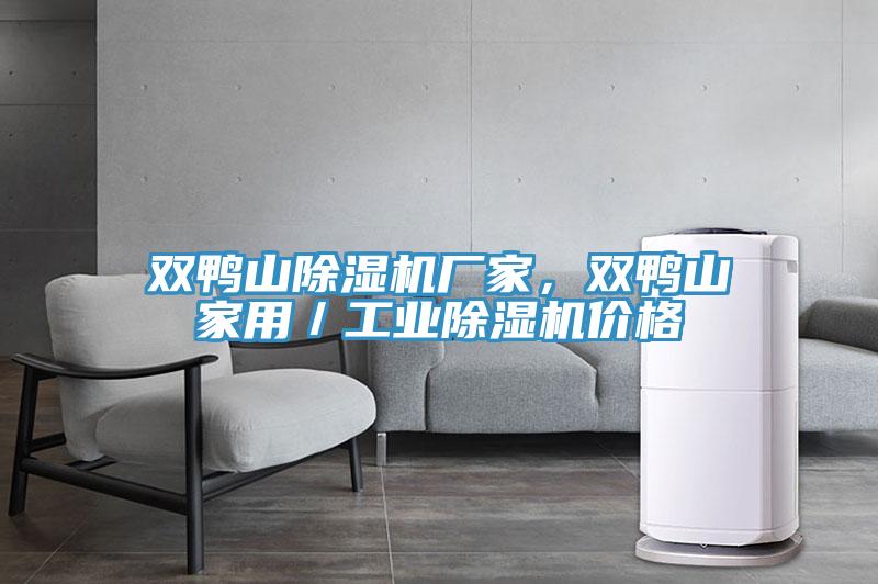 雙鴨山除濕機廠家，雙鴨山家用／工業(yè)除濕機價格