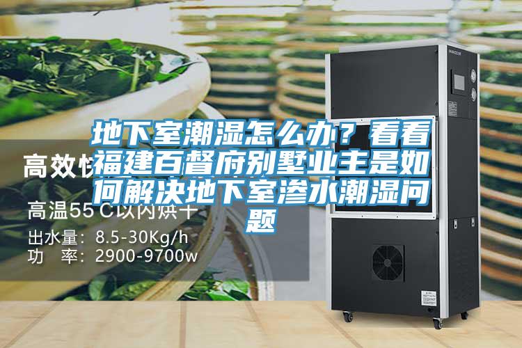 地下室潮濕怎么辦？看看福建百督府別墅業(yè)主是如何解決地下室滲水潮濕問題
