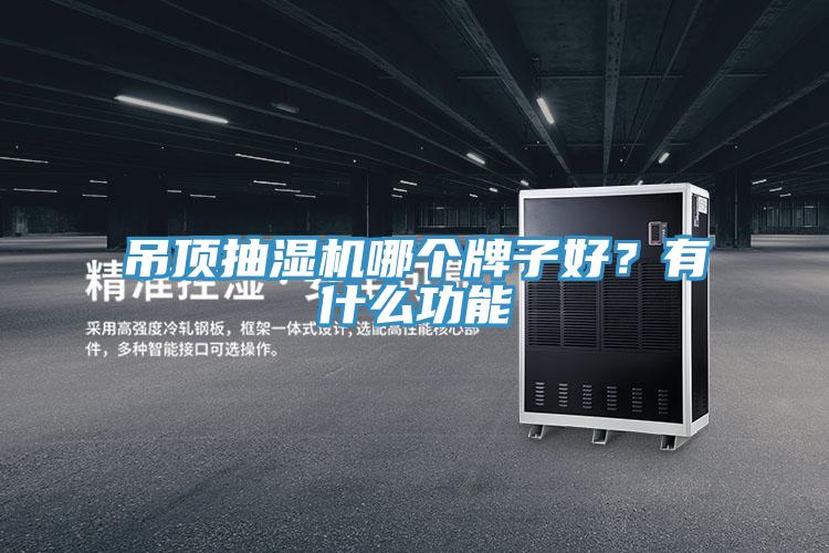 吊頂抽濕機哪個牌子好？有什么功能