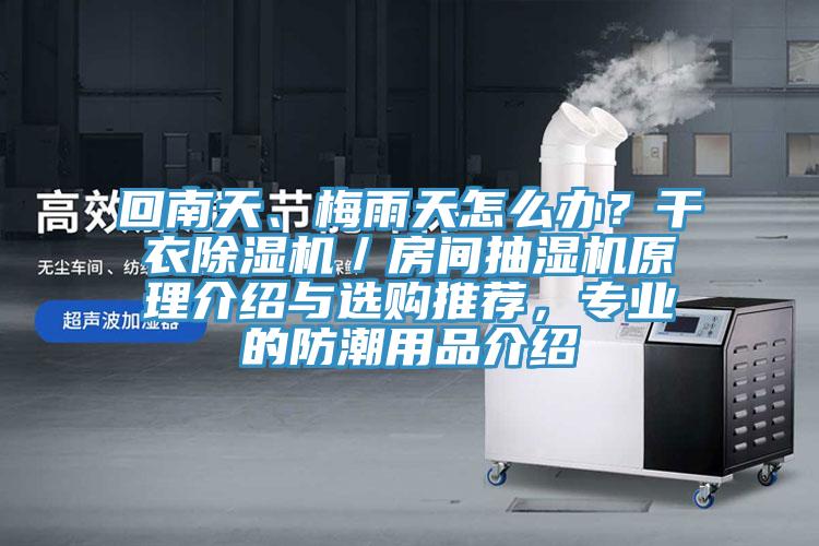 回南天、梅雨天怎么辦？干衣除濕機(jī)／房間抽濕機(jī)原理介紹與選購?fù)扑]，專業(yè)的防潮用品介紹