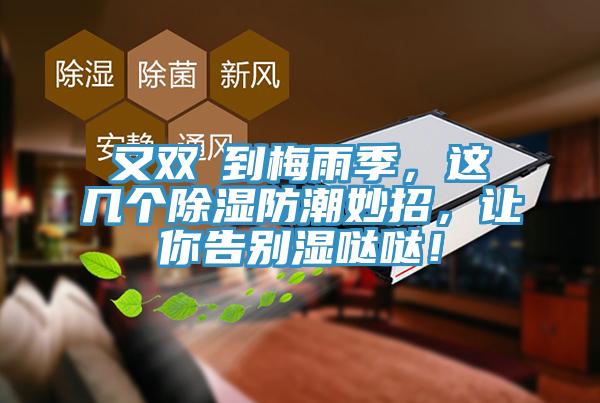又雙叒到梅雨季，這幾個(gè)除濕防潮妙招，讓你告別濕噠噠！