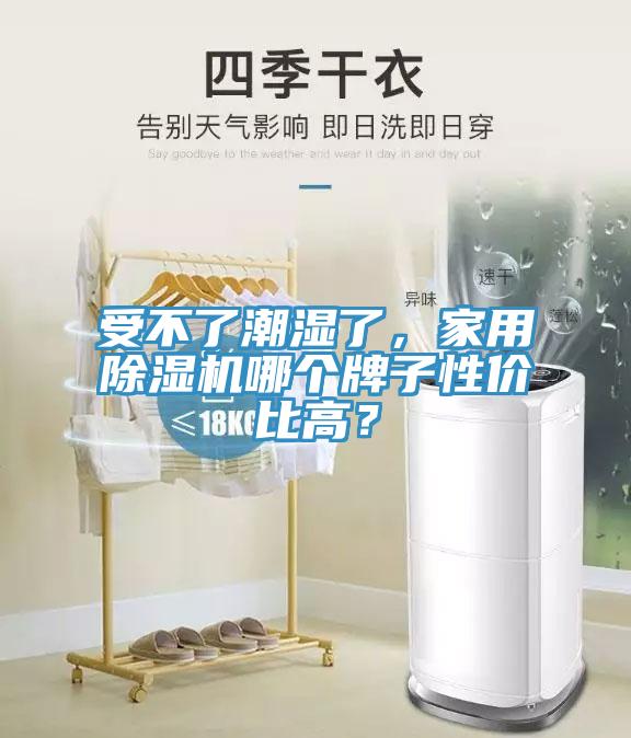 受不了潮濕了，家用除濕機哪個牌子性價比高？