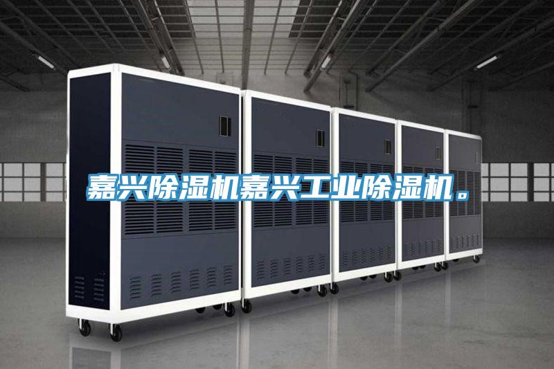 嘉興除濕機嘉興工業(yè)除濕機。