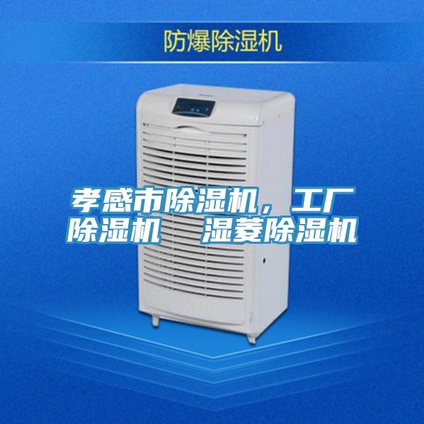 孝感市除濕機，工廠除濕機  濕菱除濕機