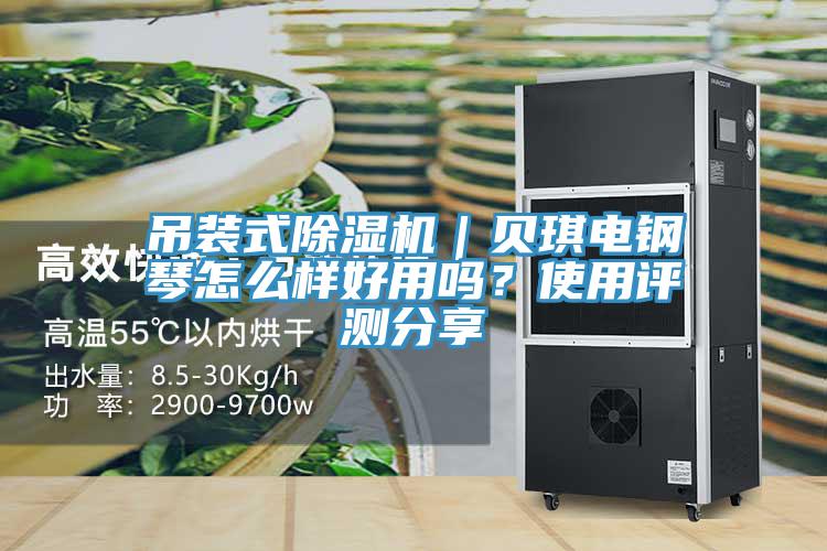 吊裝式除濕機(jī)｜貝琪電鋼琴怎么樣好用嗎？使用評(píng)測(cè)分享