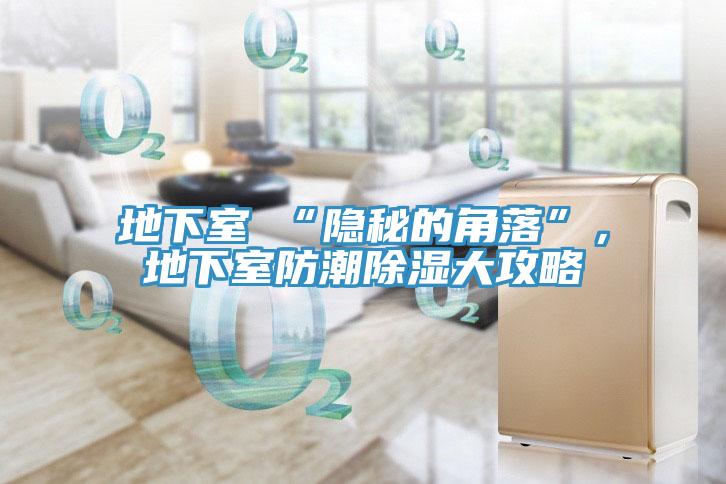 地下室≠“隱秘的角落”，地下室防潮除濕大攻略