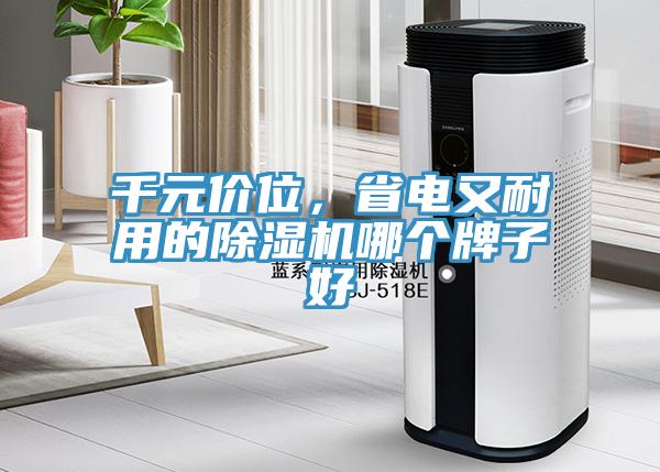 千元價(jià)位，省電又耐用的除濕機(jī)哪個(gè)牌子好