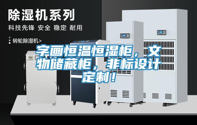 字畫恒溫恒濕柜，文物儲藏柜，非標設(shè)計定制！