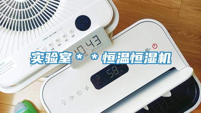 實驗室＊＊恒溫恒濕機(jī)