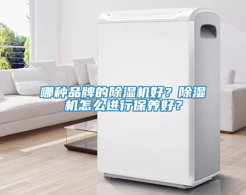 哪種品牌的除濕機好？除濕機怎么進行保養(yǎng)好？
