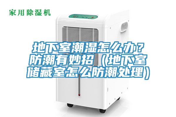 地下室潮濕怎么辦？防潮有妙招（地下室儲(chǔ)藏室怎么防潮處理）