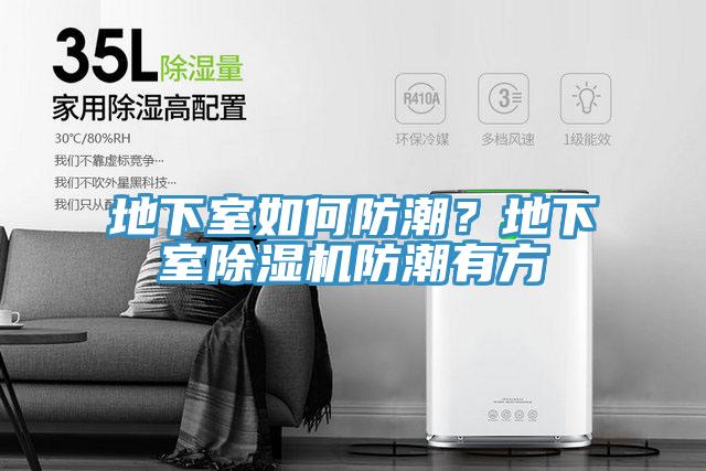地下室如何防潮？地下室除濕機(jī)防潮有方