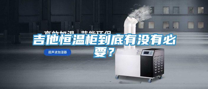 吉他恒溫柜到底有沒有必要？
