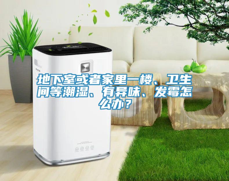 地下室或者家里一樓、衛(wèi)生間等潮濕、有異味、發(fā)霉怎么辦？