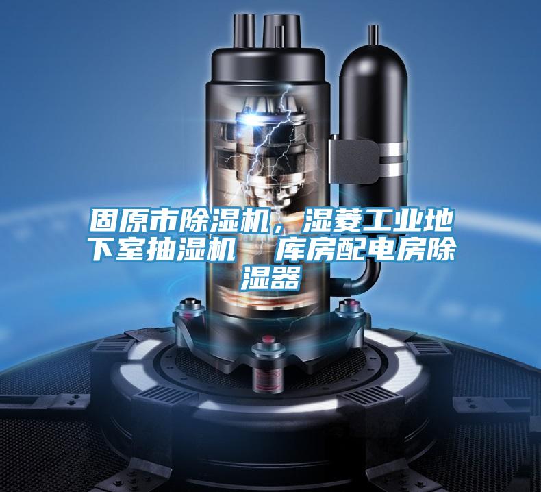 固原市除濕機(jī)，濕菱工業(yè)地下室抽濕機(jī)  庫(kù)房配電房除濕器