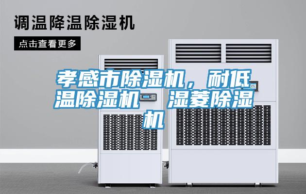 孝感市除濕機，耐低溫除濕機  濕菱除濕機