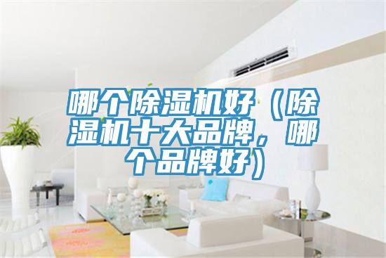 哪個除濕機好（除濕機十大品牌，哪個品牌好）