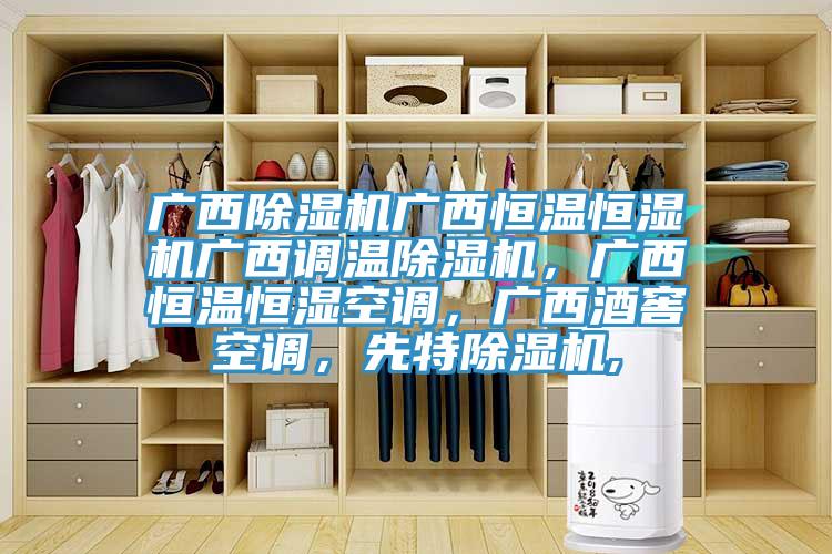 廣西除濕機廣西恒溫恒濕機廣西調(diào)溫除濕機，廣西恒溫恒濕空調(diào)，廣西酒窖空調(diào)，先特除濕機,