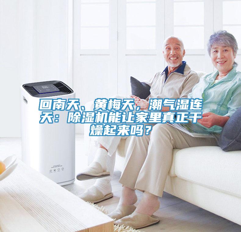 回南天、黃梅天，潮氣濕連天：除濕機(jī)能讓家里真正干燥起來嗎？