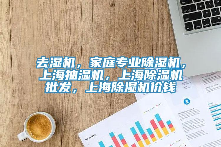 去濕機，家庭專業(yè)除濕機，上海抽濕機，上海除濕機批發(fā)，上海除濕機價錢