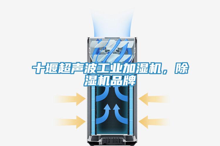 十堰超聲波工業(yè)加濕機，除濕機品牌