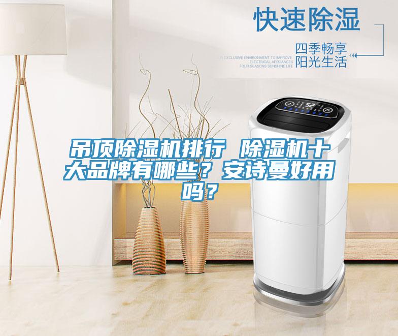 吊頂除濕機排行 除濕機十大品牌有哪些？安詩曼好用嗎？