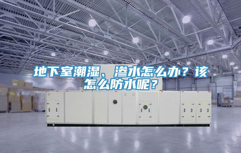 地下室潮濕、滲水怎么辦？該怎么防水呢？