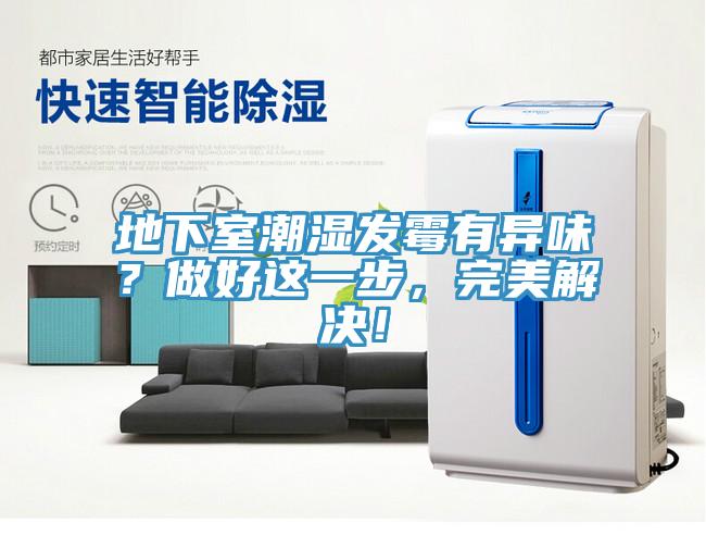 地下室潮濕發(fā)霉有異味？做好這一步，完美解決！