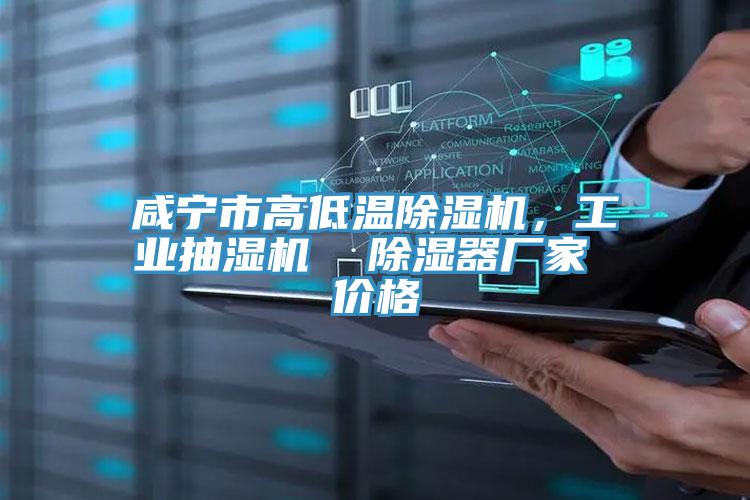 咸寧市高低溫除濕機，工業(yè)抽濕機  除濕器廠家 價格