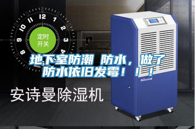 地下室防潮≠防水，做了防水依舊發(fā)霉！??！