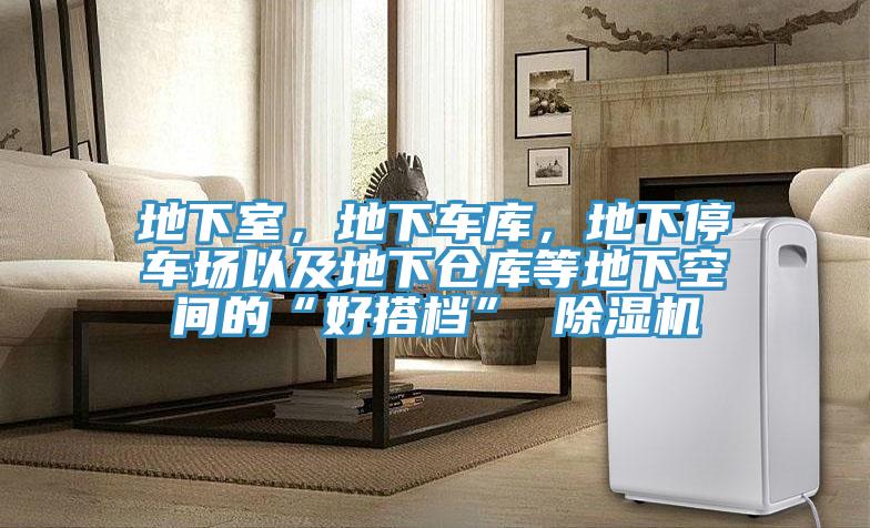 地下室，地下車庫，地下停車場以及地下倉庫等地下空間的“好搭檔” 除濕機(jī)