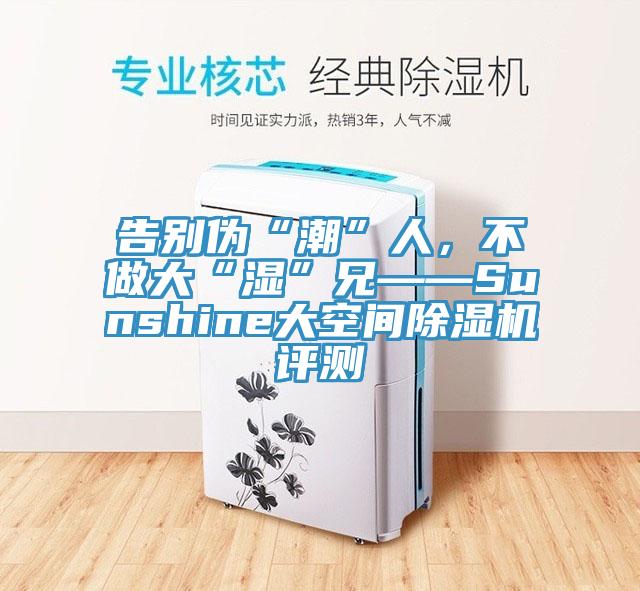 告別偽“潮”人，不做大“濕”兄——Sunshine大空間除濕機評測