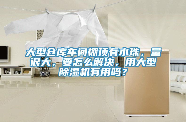 大型倉庫車間棚頂有水珠，量很大，要怎么解決，用大型除濕機(jī)有用嗎？