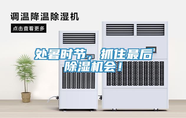 處暑時節(jié)，抓住最后除濕機會！