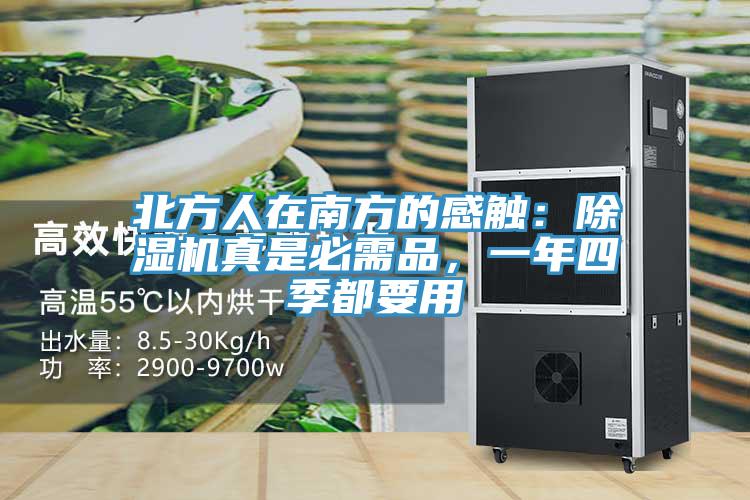 北方人在南方的感觸：除濕機真是必需品，一年四季都要用