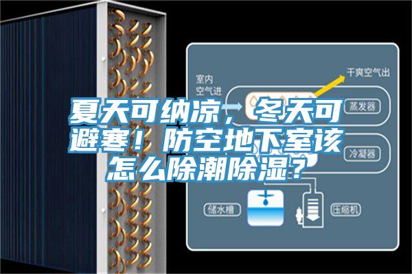 夏天可納涼，冬天可避寒！防空地下室該怎么除潮除濕？
