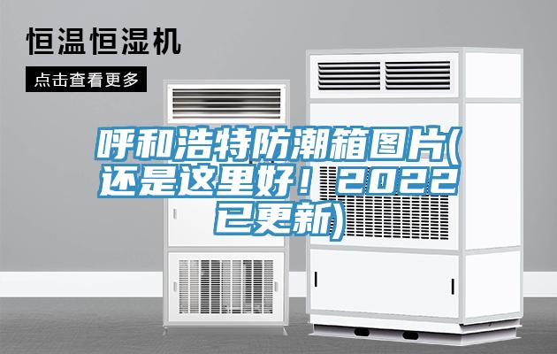 呼和浩特防潮箱圖片(還是這里好！2022已更新)