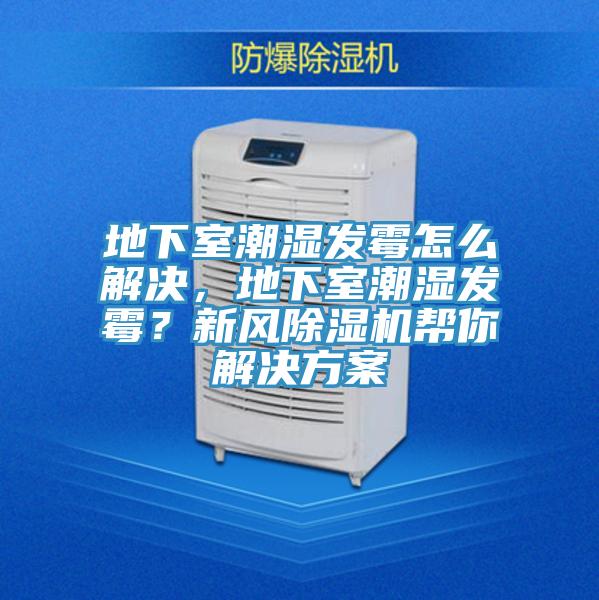 地下室潮濕發(fā)霉怎么解決，地下室潮濕發(fā)霉？新風(fēng)除濕機(jī)幫你解決方案