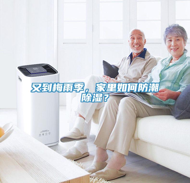 又到梅雨季，家里如何防潮除濕？