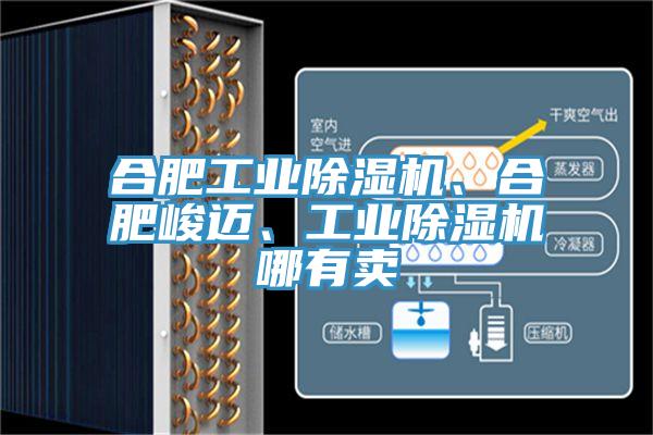 合肥工業(yè)除濕機、合肥峻邁、工業(yè)除濕機哪有賣