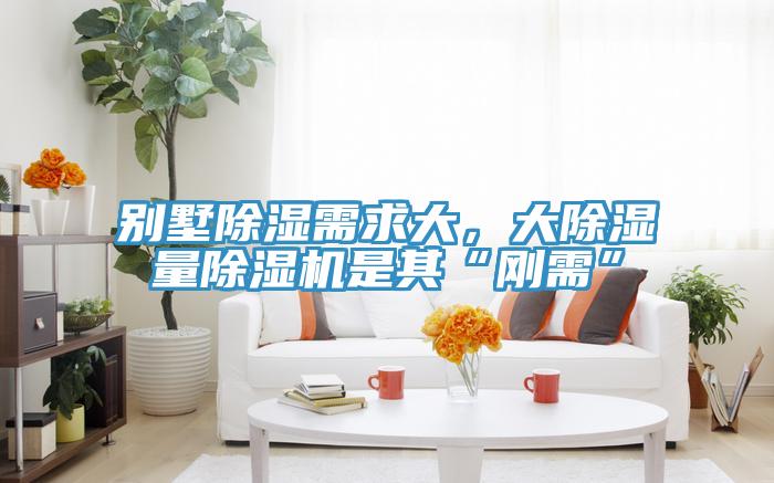 別墅除濕需求大，大除濕量除濕機是其“剛需”