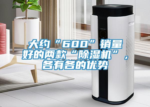 大約“600”銷量好的兩款“除濕機(jī)”，各有各的優(yōu)勢(shì)