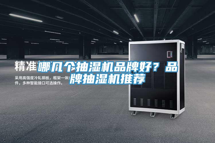 哪幾個抽濕機品牌好？品牌抽濕機推薦