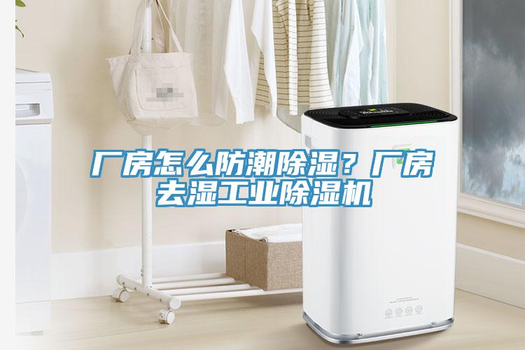 廠房怎么防潮除濕？廠房去濕工業(yè)除濕機(jī)